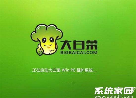 大白菜U盘启动制作界面