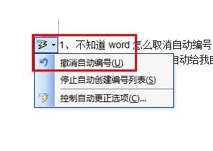 Word取消自动编号实用方法