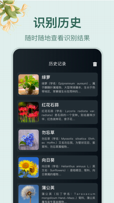 u5c0fu56edu4e01
