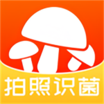 菌窝子真菌识别与安全采摘必备工具v3.0.0 最新版
