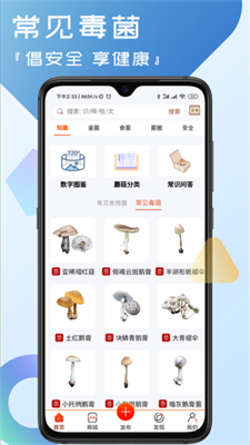 u83ccu7a9du5b50