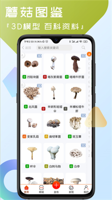 u83ccu7a9du5b50u514du8d39u7248