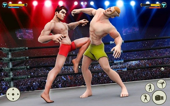 u683cu6597u62f3u51fbu4f53u80b2u9986(Grand Robot Ring Fighting Game)